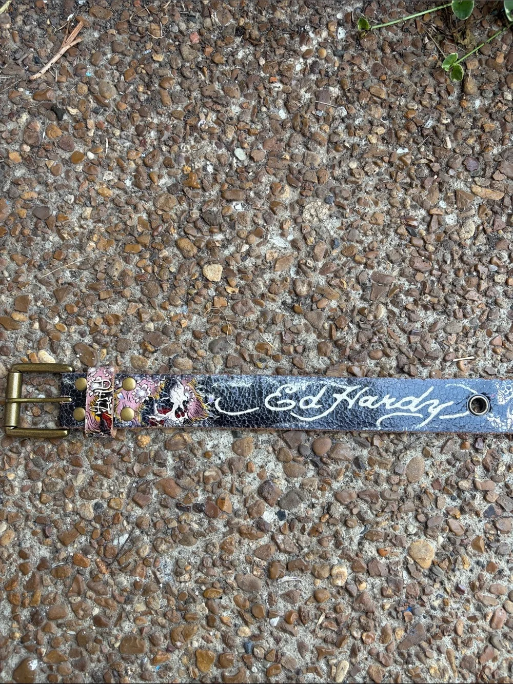 Ed Hardy Black Leather Belt with Multicolor Graphic Accents